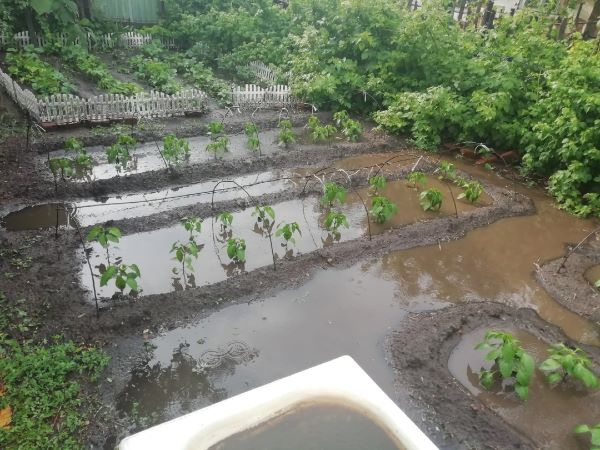 В Оренбургской области подсчитывают ущерб от вчерашней стихии