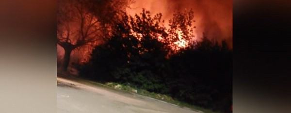 
&laquo;Возьмите этот дом и отдайте сиротам, молодым врачам &ndash; тому, кто нуждается!&raquo; Житель Орска требует избавить его от опасного соседства с бомжами, но власти не хотят идти навстречу		