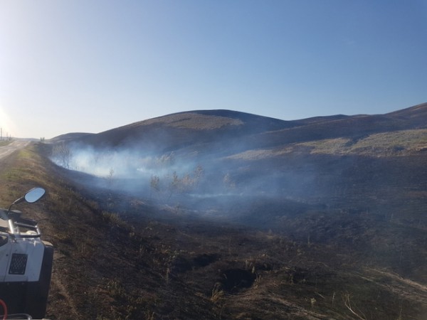 В Кувандыкском городском округе горели поля на площади 30 га