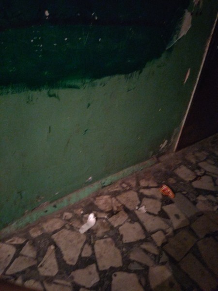 
&laquo;Мусора почти по колено, испражнения животных...&raquo;: жители Орска считают, что у них самый грязный дом в городе		