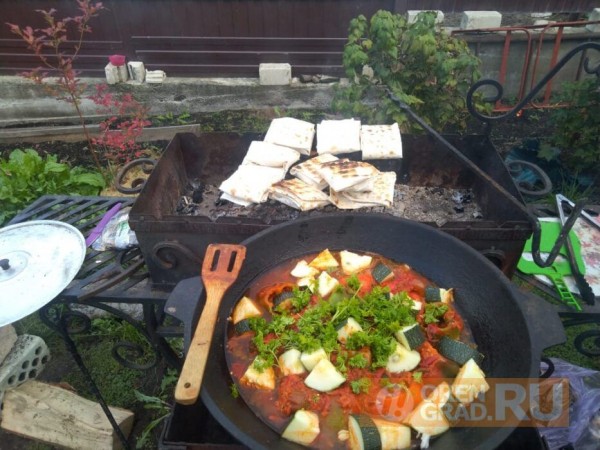 В 2027 году россиянам могут разрешить жарить шашлык на своих участках