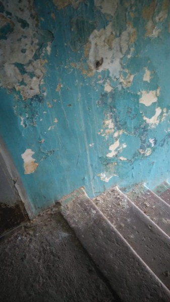 
&laquo;Мусора почти по колено, испражнения животных...&raquo;: жители Орска считают, что у них самый грязный дом в городе		