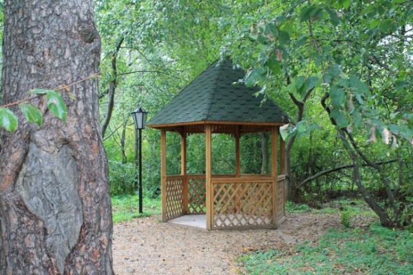 В усадьбе Аксаковых из-за аварийных деревьев ограничили доступ в парк