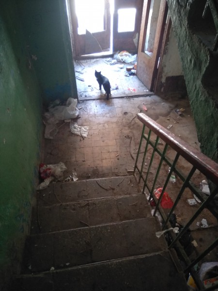 
&laquo;Мусора почти по колено, испражнения животных...&raquo;: жители Орска считают, что у них самый грязный дом в городе		