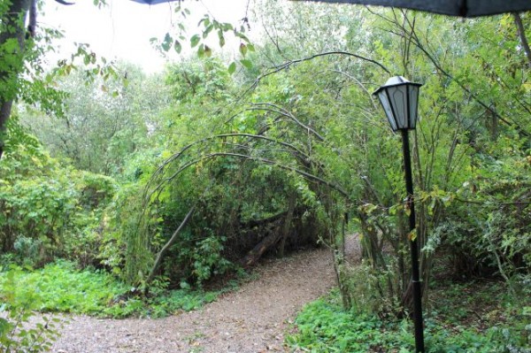 В усадьбе Аксаковых из-за аварийных деревьев ограничили доступ в парк