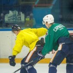 Команда на льду Команда на льду