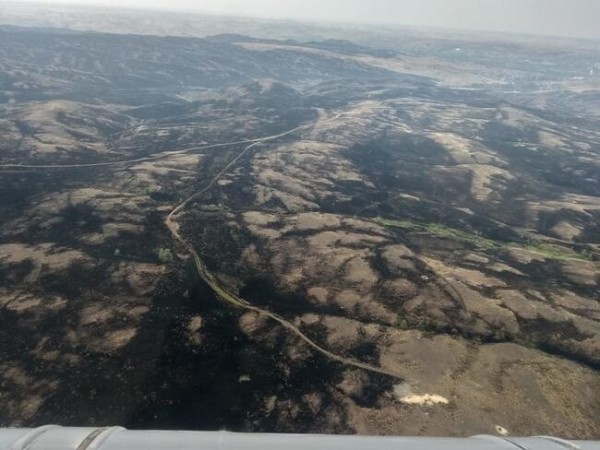 Пожар под Медногорском потушен, на его ликвидацию ушло четыре дня