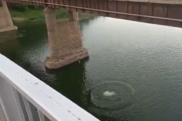 В Оренбурге под мостом через Сакмару снова повесили тарзанку. Там прыгают подростки