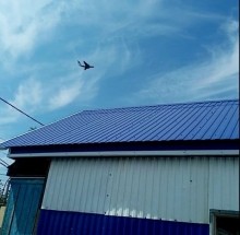 В Медногорске пожарные едва отстояли детский сад