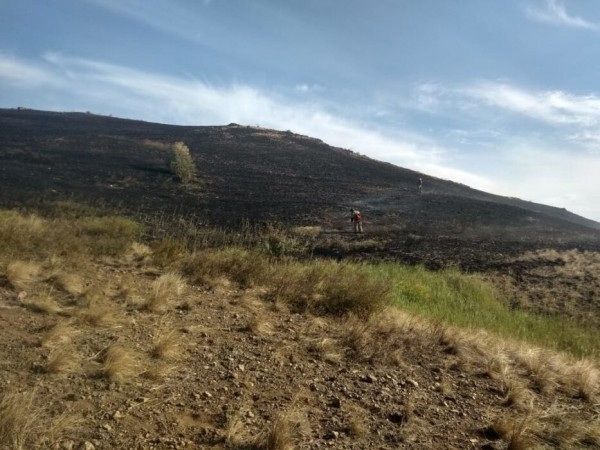 Под Медногорском полностью ликвидирован крупный степной пожар
