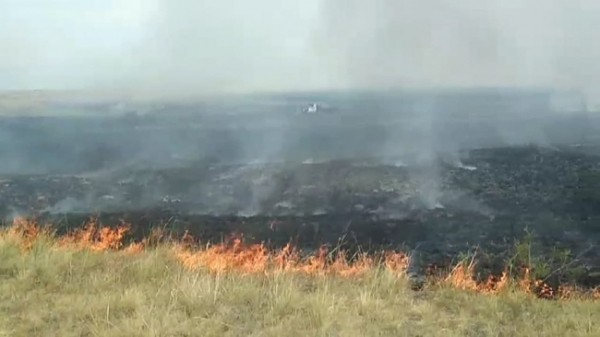 В Оренбургской области в больнице скончался пожарный В Оренбургской области в больнице скончался пожарный