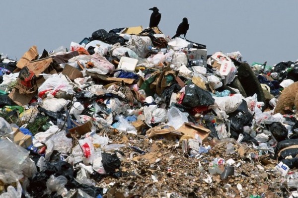 В Тоцком районе по требованию прокуратуры ликвидировали несанкционированную свалку