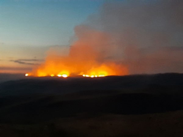 
Возле Медногорска горит трава, город заволокло дымом		