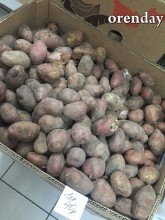 Где в Оренбурге овощи стоят дешевле?