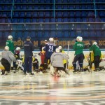 Команда на льду Команда на льду