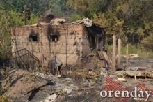 Под Оренбургом Протопоповская роща превратилась в выжженную пустыню Под Оренбургом Протопоповская роща превратилась в выжженную пустыню