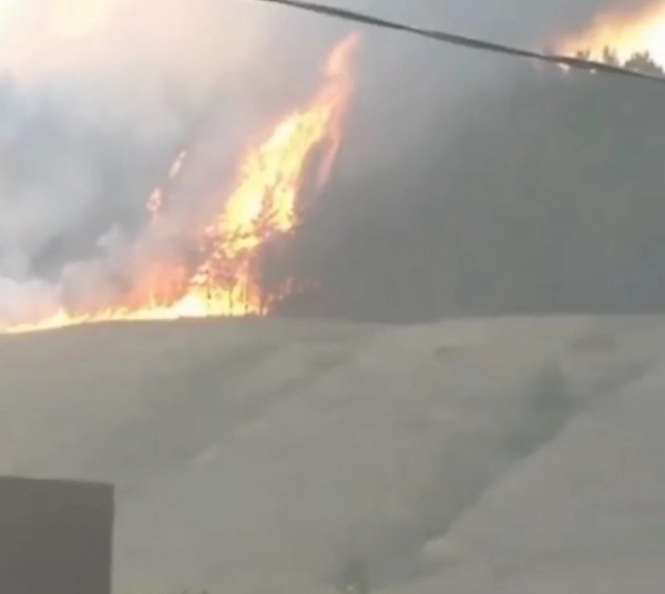Вблизи Абдулино полыхает лес Вблизи Абдулино полыхает лес