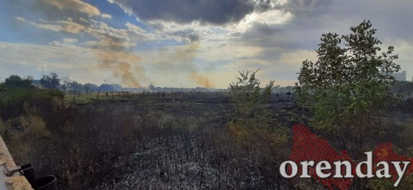 В Оренбурге на проспекте Победы полыхало кладбище