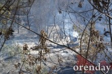 Под Оренбургом Протопоповская роща превратилась в выжженную пустыню Под Оренбургом Протопоповская роща превратилась в выжженную пустыню