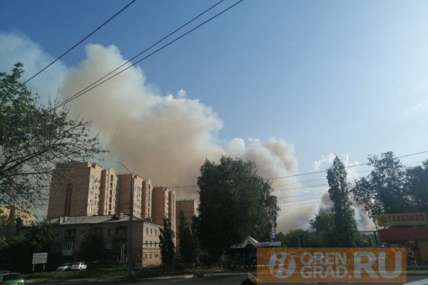 Под Оренбургом горит Протопоповская роща