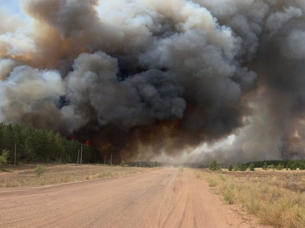 Андрей Латыпов об огненном шторме в Бузулукском бору: Больше 100 гектаров леса на наших глазах выгорело как спичка Андрей Латыпов об огненном шторме в Бузулукском бору: Больше 100 гектаров леса на наших глазах выгорело как спичка