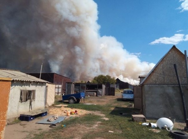 В Оренбуржье люди живым щитом стояли, защищая село от огня В Оренбуржье люди живым щитом стояли, защищая село от огня