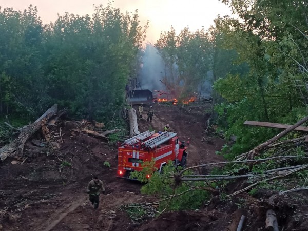 Под Оренбургом Протопоповская роща превратилась в выжженную пустыню Под Оренбургом Протопоповская роща превратилась в выжженную пустыню