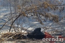 Под Оренбургом Протопоповская роща превратилась в выжженную пустыню Под Оренбургом Протопоповская роща превратилась в выжженную пустыню
