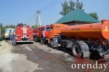 Под Оренбургом Протопоповская роща превратилась в выжженную пустыню Под Оренбургом Протопоповская роща превратилась в выжженную пустыню