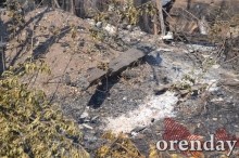 Под Оренбургом Протопоповская роща превратилась в выжженную пустыню Под Оренбургом Протопоповская роща превратилась в выжженную пустыню