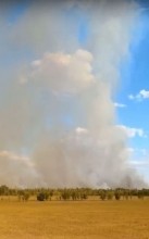 В Оренбуржье люди живым щитом стояли, защищая село от огня В Оренбуржье люди живым щитом стояли, защищая село от огня