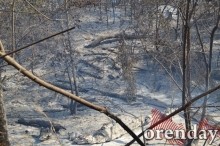 Под Оренбургом Протопоповская роща превратилась в выжженную пустыню Под Оренбургом Протопоповская роща превратилась в выжженную пустыню