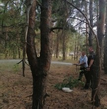 Вблизи Абдулино полыхает лес Вблизи Абдулино полыхает лес