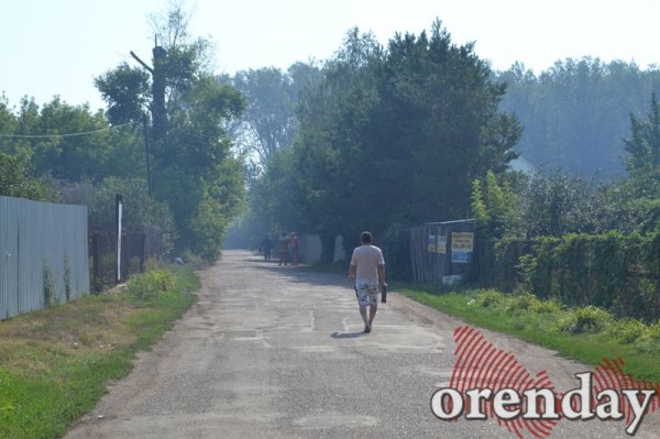Под Оренбургом Протопоповская роща превратилась в выжженную пустыню Под Оренбургом Протопоповская роща превратилась в выжженную пустыню