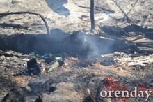 Под Оренбургом Протопоповская роща превратилась в выжженную пустыню Под Оренбургом Протопоповская роща превратилась в выжженную пустыню