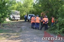 Под Оренбургом Протопоповская роща превратилась в выжженную пустыню Под Оренбургом Протопоповская роща превратилась в выжженную пустыню