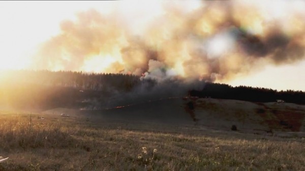 Вблизи Абдулино полыхает лес Вблизи Абдулино полыхает лес