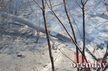 Под Оренбургом Протопоповская роща превратилась в выжженную пустыню Под Оренбургом Протопоповская роща превратилась в выжженную пустыню