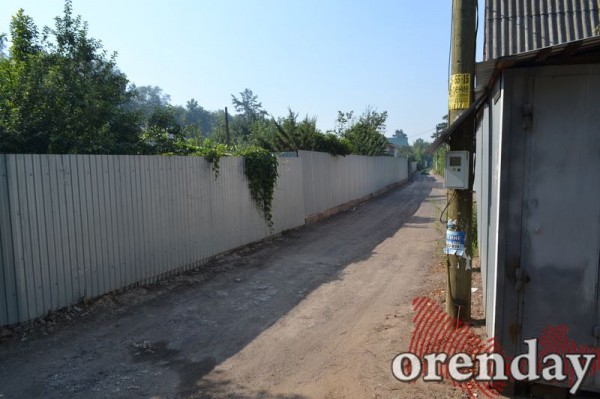 Под Оренбургом Протопоповская роща превратилась в выжженную пустыню Под Оренбургом Протопоповская роща превратилась в выжженную пустыню