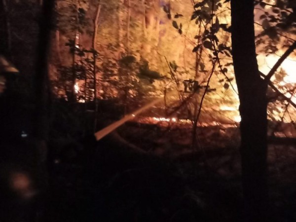 Площадь пожара в Протопоповской роще превысила три гектара