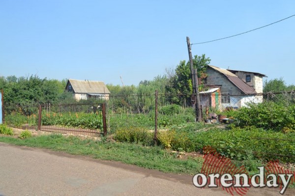 Под Оренбургом Протопоповская роща превратилась в выжженную пустыню Под Оренбургом Протопоповская роща превратилась в выжженную пустыню