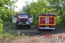 Под Оренбургом Протопоповская роща превратилась в выжженную пустыню Под Оренбургом Протопоповская роща превратилась в выжженную пустыню
