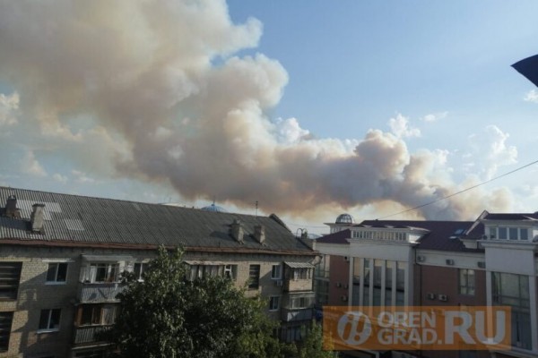 Под Оренбургом горит Протопоповская роща