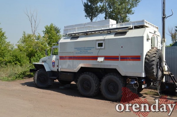 Под Оренбургом Протопоповская роща превратилась в выжженную пустыню Под Оренбургом Протопоповская роща превратилась в выжженную пустыню