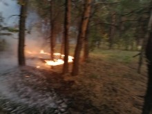 Вблизи Абдулино полыхает лес Вблизи Абдулино полыхает лес