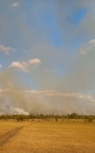 В Оренбуржье люди живым щитом стояли, защищая село от огня В Оренбуржье люди живым щитом стояли, защищая село от огня