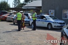 Под Оренбургом Протопоповская роща превратилась в выжженную пустыню Под Оренбургом Протопоповская роща превратилась в выжженную пустыню