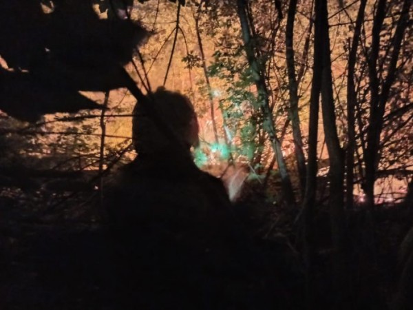 Площадь пожара в Протопоповской роще превысила три гектара