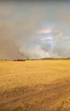 В Оренбуржье люди живым щитом стояли, защищая село от огня В Оренбуржье люди живым щитом стояли, защищая село от огня