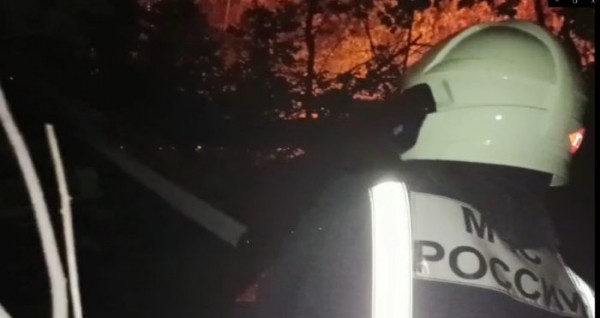 Площадь пожара в Протопоповской роще превысила три гектара